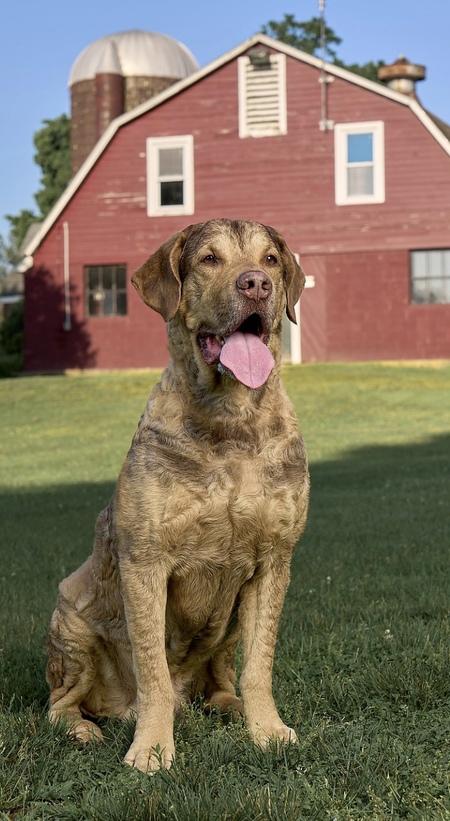 Entry image for Arlo. Clicking this image will show a larger photo