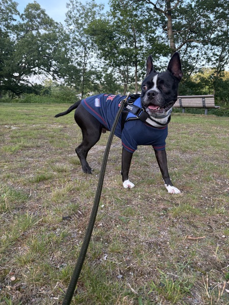 Entry image for Bruschi. Clicking this image will show a larger photo