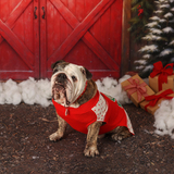 Entry image for Ralphie Parker 