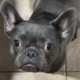 Entry image for Lilith 