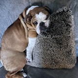 Entry image for Stanley 