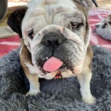 Entry image for MayBelle