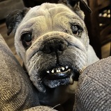 Entry image for MayBelle