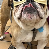 Entry image for Stanley