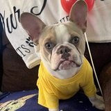 Entry image for Stephen king 