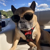 Entry image for Gomez aka “Vitamin G”