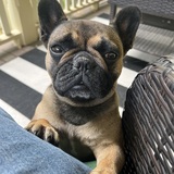 Entry image for Mabel