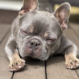 Entry image for Grey