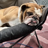 Entry image for Stanley 