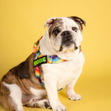 Entry image for Biggie (BB King/ Mr Biggs) 