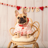 Entry image for Mariposa