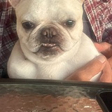 Entry image for Bubbles