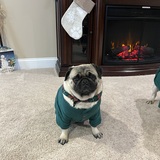 Entry image for Roxy 