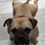 Entry image for Stacks