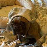 Entry image for Stuey