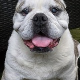 Entry image for Peggy