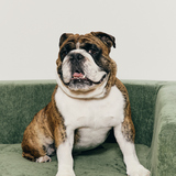 Entry image for Douglas