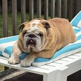 Entry image for Stanley