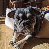 Entry image for Faithy