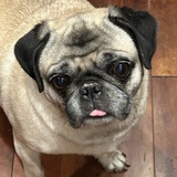 Entry image for Grant