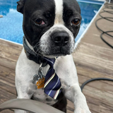 Entry image for Magic