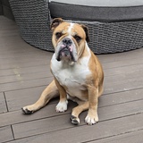 Entry image for Wrigley