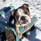 Entry image for Manny