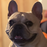 Entry image for Charlie