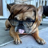 Entry image for Velma