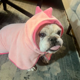 Entry image for Ruth