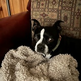 Entry image for Jaxson