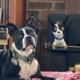 Entry image for Jaxson