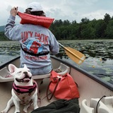 Entry image for Bonnie