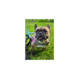 Entry image for Tink