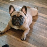 Entry image for Libby