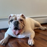 Entry image for Maggie