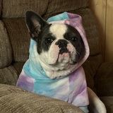 Entry image for Cleo