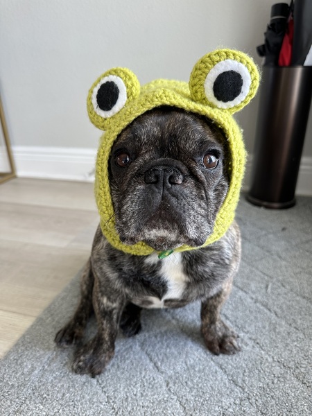 Entry image for Rue. Clicking this image will show a larger photo