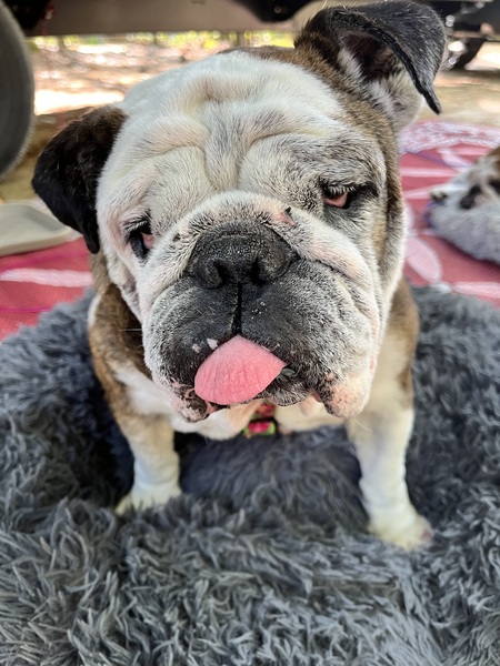 Entry image for MayBelle. Clicking this image will show a larger photo