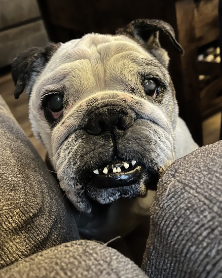 Entry image for MayBelle. Clicking this image will show a larger photo