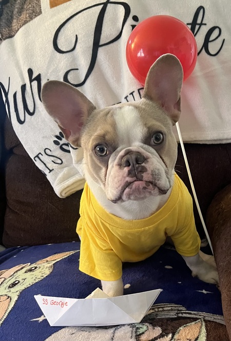 Entry image for Stephen king . Clicking this image will show a larger photo