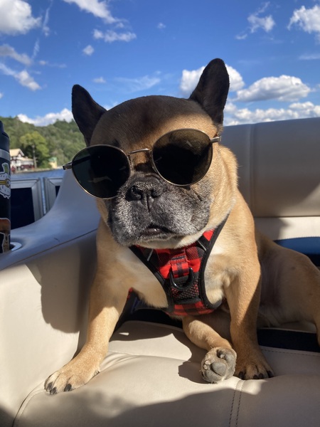 Entry image for Gomez aka “Vitamin G”. Clicking this image will show a larger photo