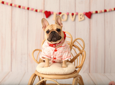 Entry image for Mariposa. Clicking this image will show a larger photo