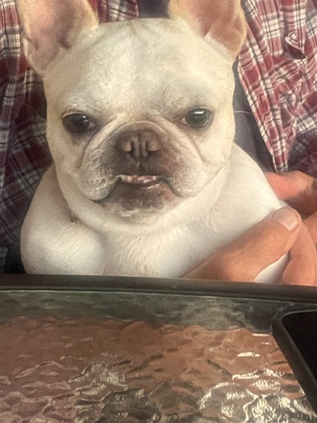 Entry image for Bubbles. Clicking this image will show a larger photo