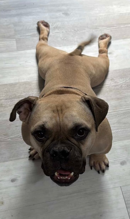 Entry image for Stacks. Clicking this image will show a larger photo