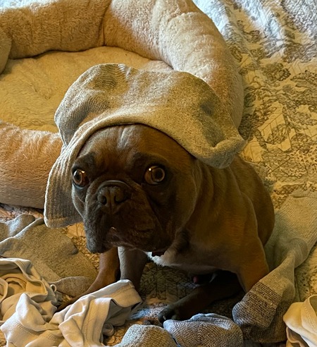 Entry image for Stuey. Clicking this image will show a larger photo