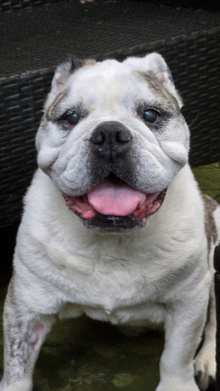 Entry image for Peggy. Clicking this image will show a larger photo