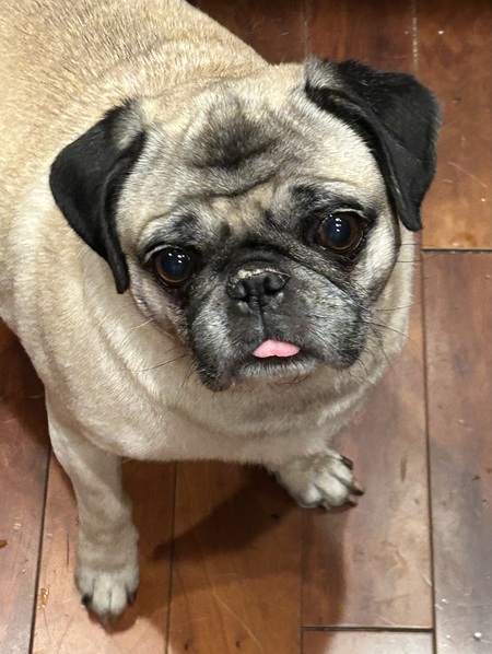 Entry image for Grant. Clicking this image will show a larger photo