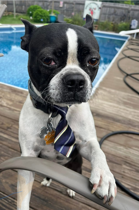 Entry image for Magic. Clicking this image will show a larger photo