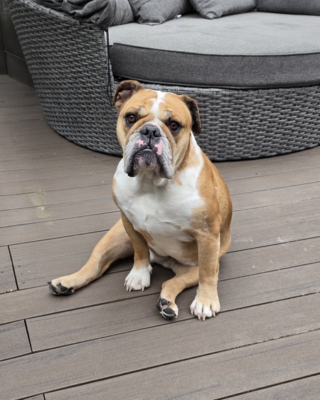 Entry image for Wrigley. Clicking this image will show a larger photo